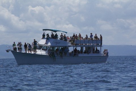 IMG_9464.jpg