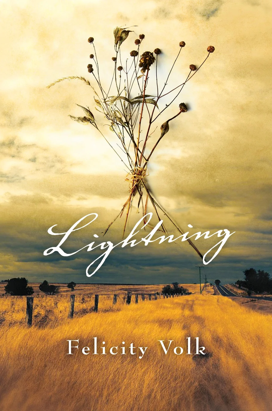 Lightning cover 471kb.jpg