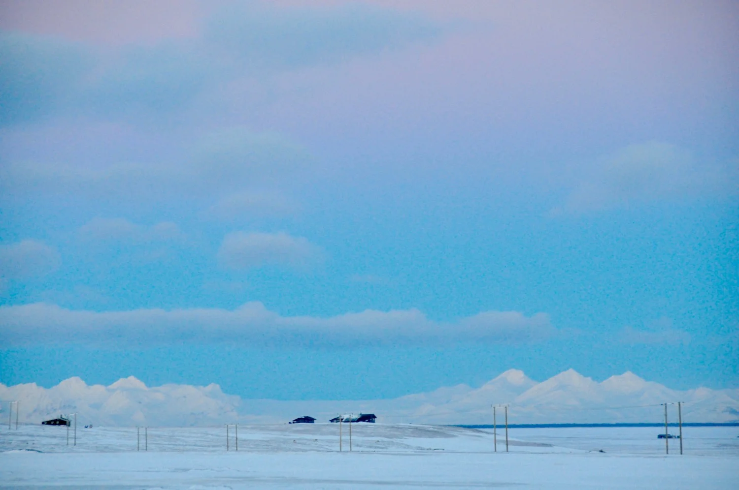 DSC_E0333.jpg