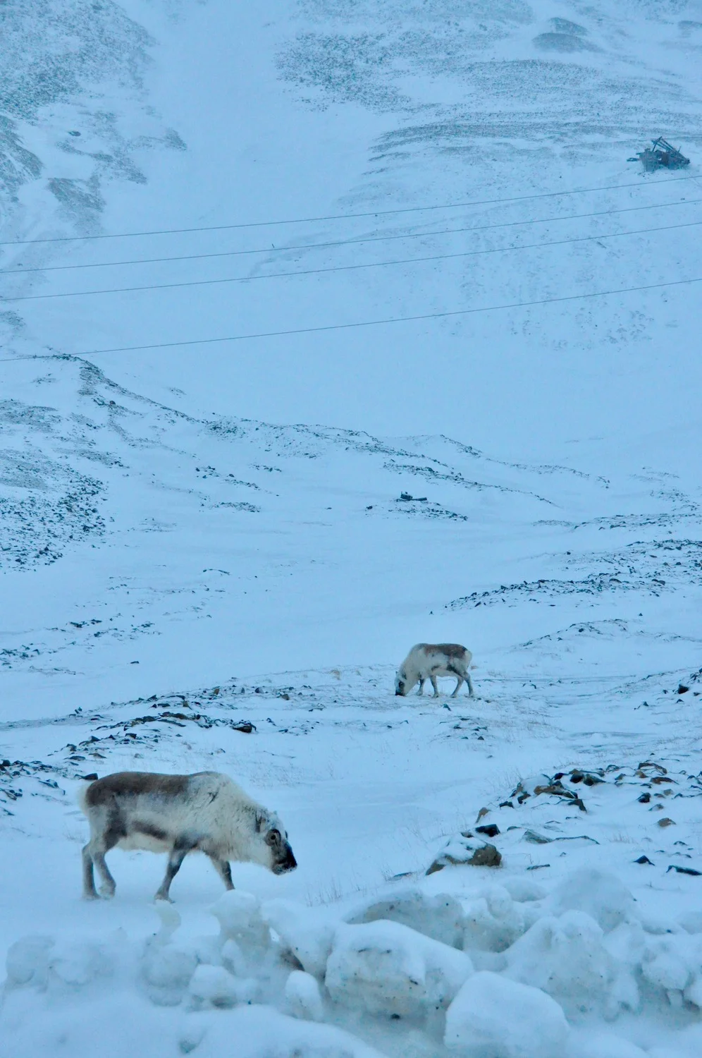 DSC_0430.jpg