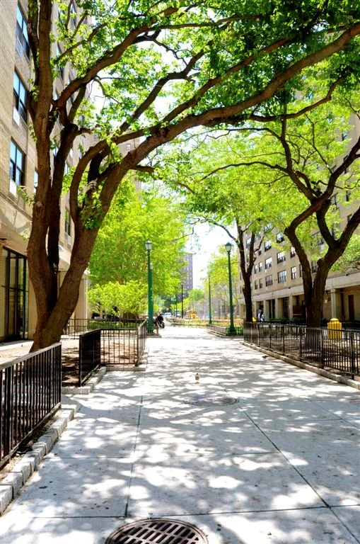 Courtyard Landscaping 3.jpg