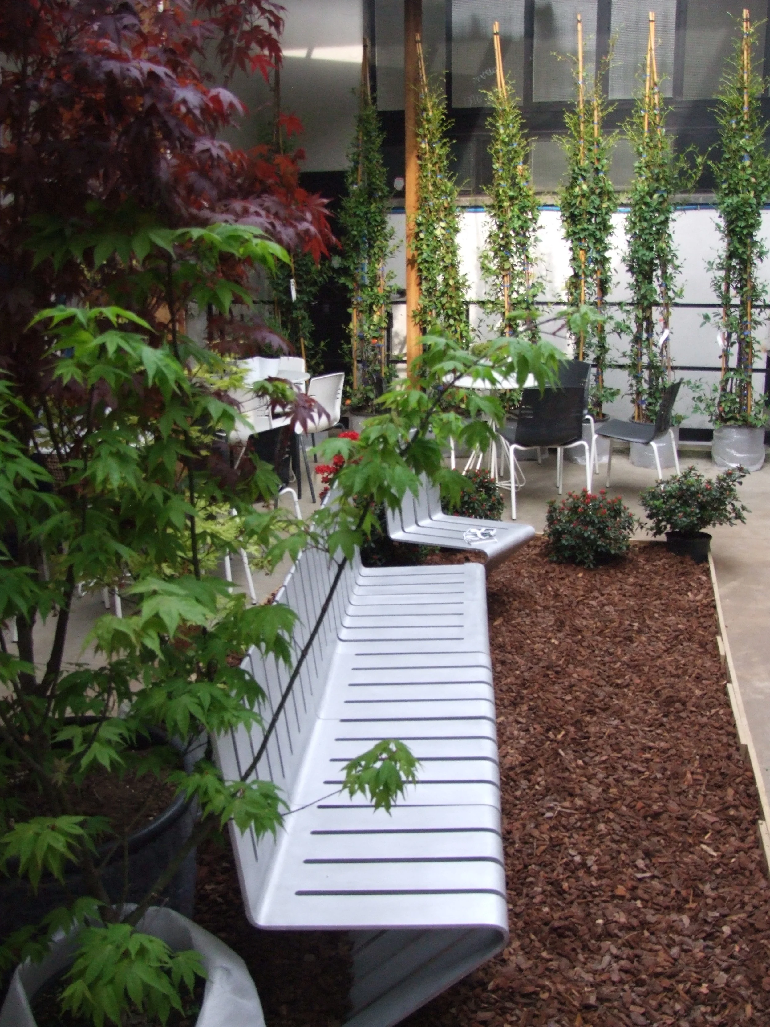 giardino (3).JPG
