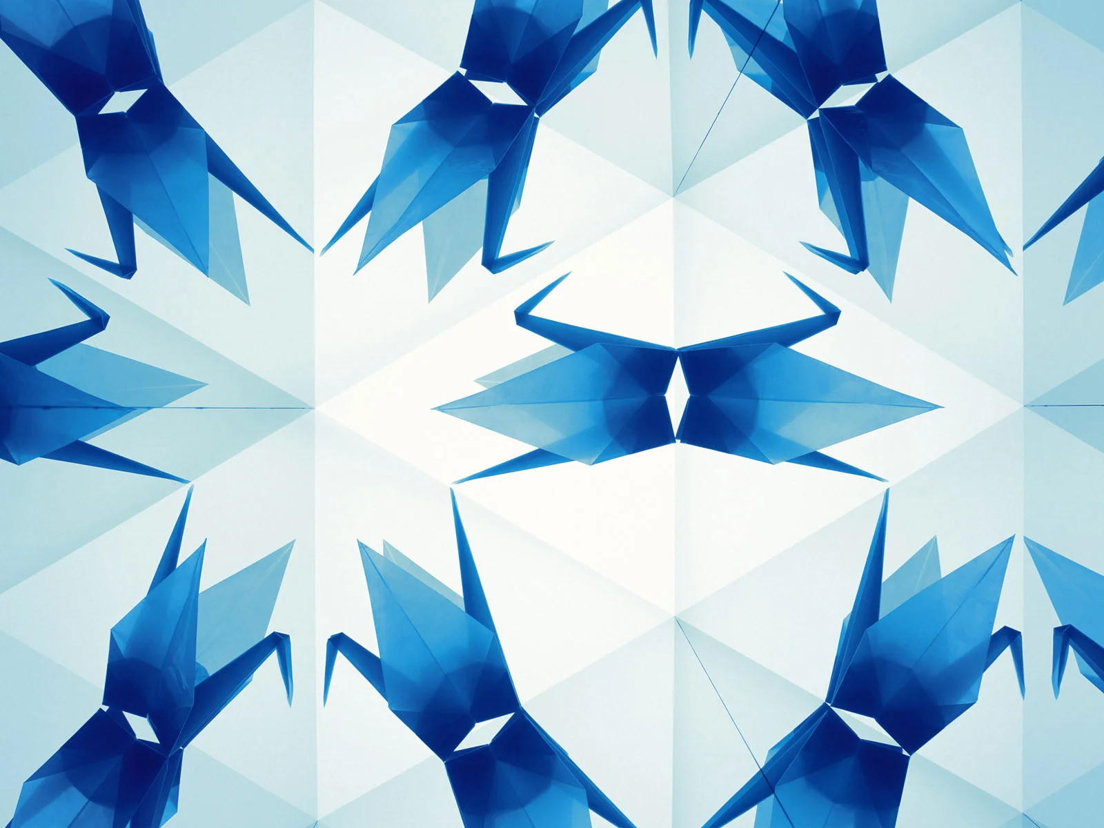 kaleidoscope_016.jpg