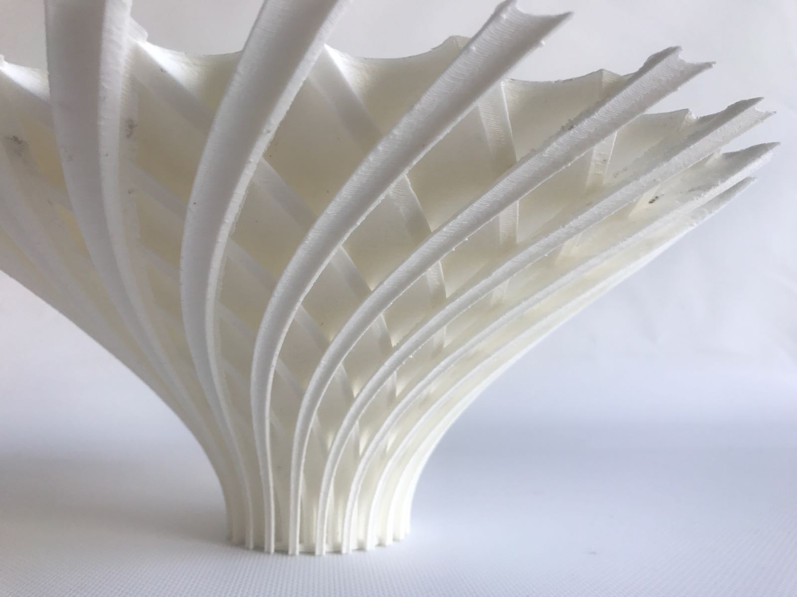 WhatsApp Image 2017-09-12 at 11.04.13.jpeg