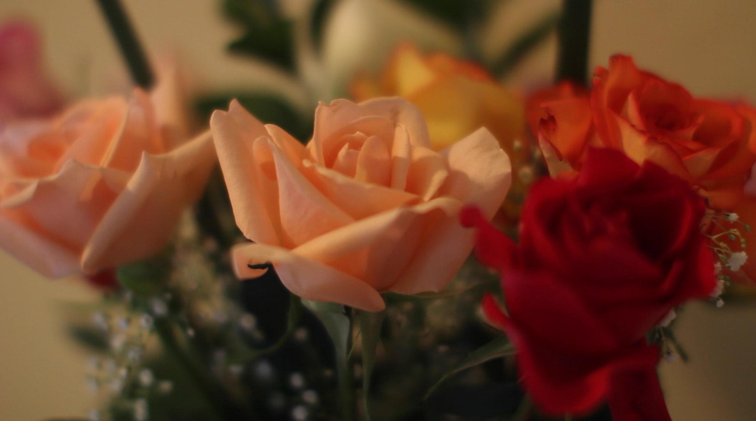 Screen Shot 2013-08-16 at 7.10.20 PM.png