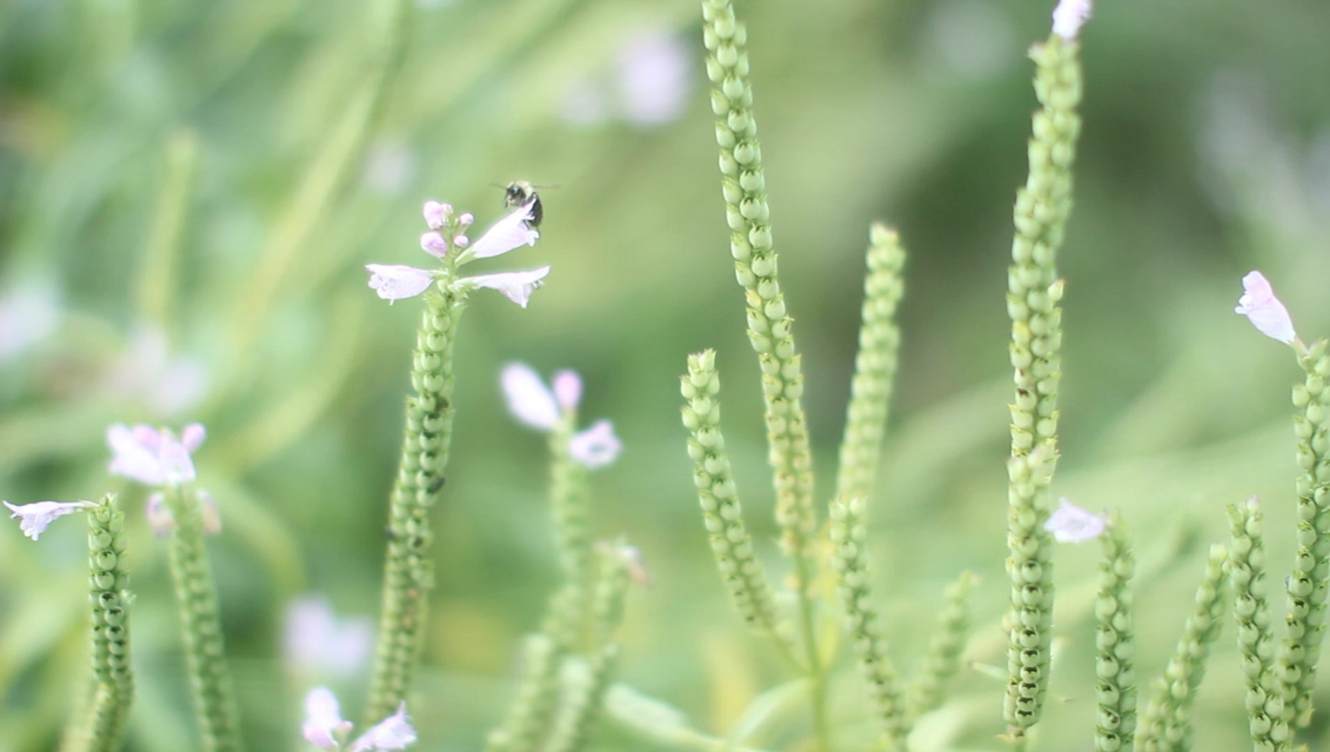 Screen Shot 2013-09-03 at 7.55.59 PM.png