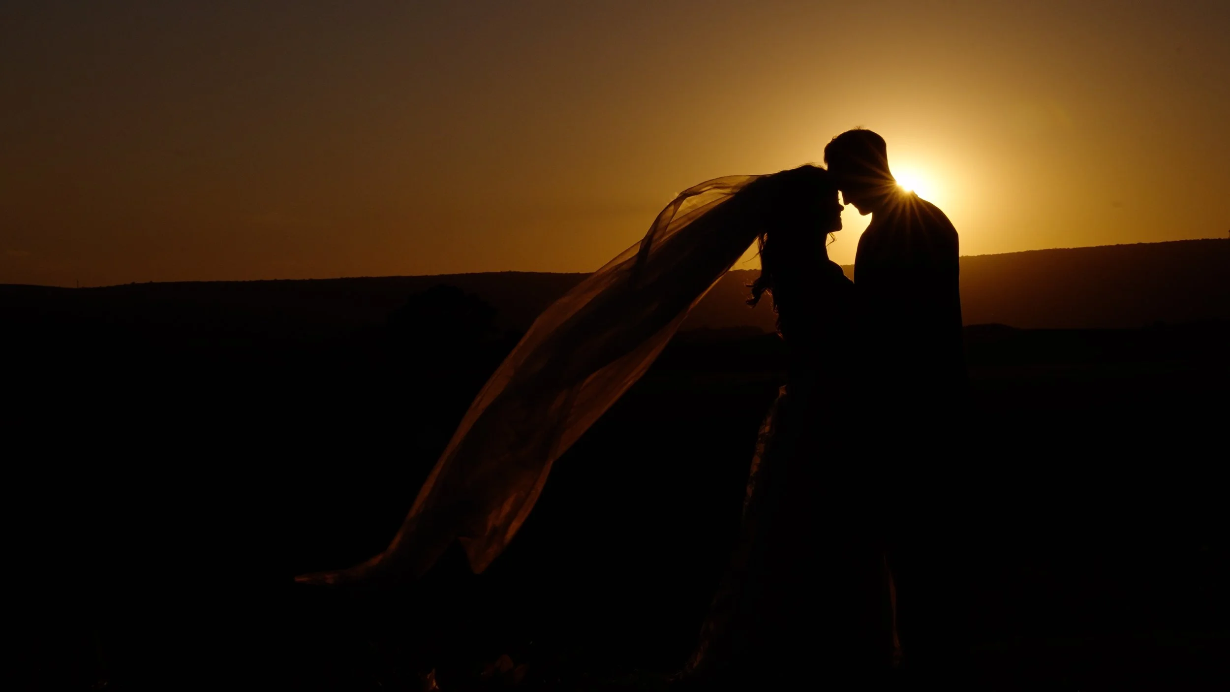 Untitled Project.jpg