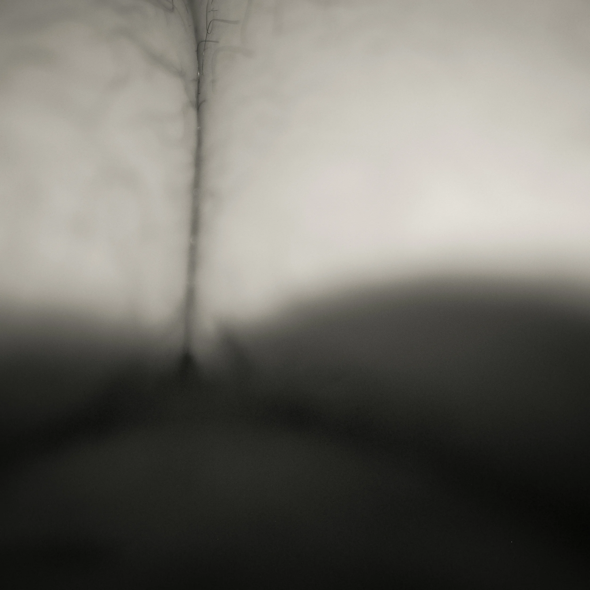 CJL-1.jpg