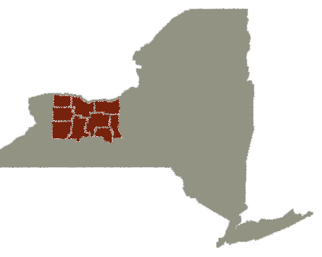 NY FL Map.png