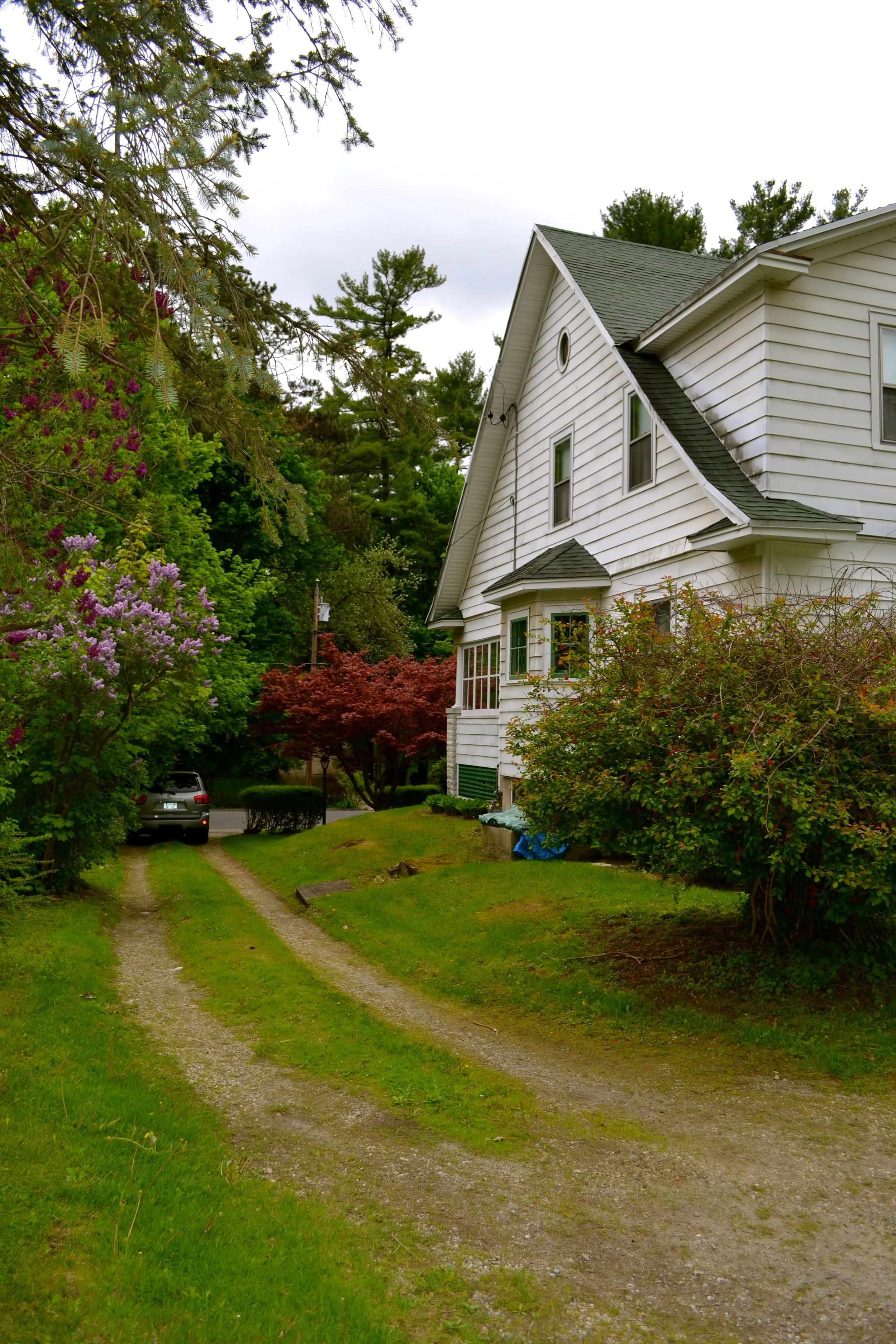 DSC_0035.jpg
