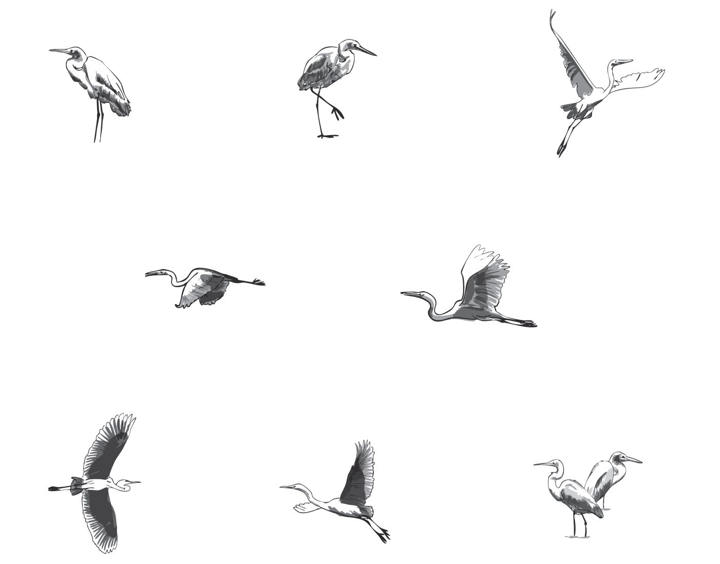 Motion study of a crane in flight