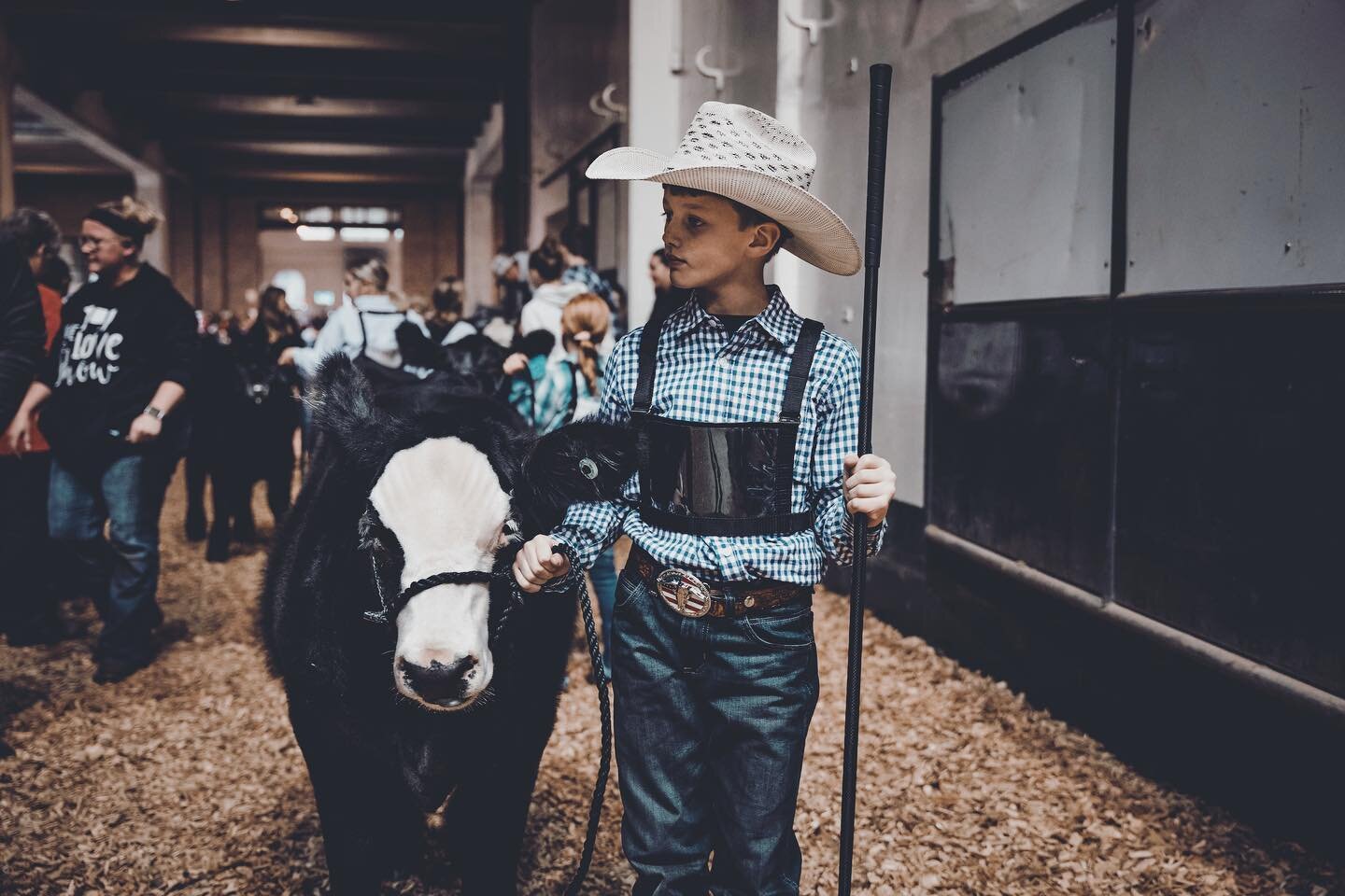 My first time at the MN Beef Expo. I was kind of blown away. They are so meticulous with three or four people shaving a cow into the perfect shape. @mnbeefexpo #beefexpo Expo #Beef #MNBeef #Kyle #Cowboy #Cow #CowShow #BeefShow #CowGirl #MinnesotaStat