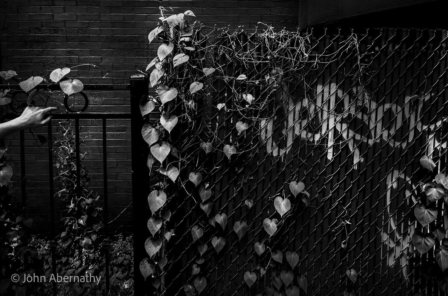 Green for my palms. Letters from the dirt. #bnwphotographer #bnw_photography #streetphotography