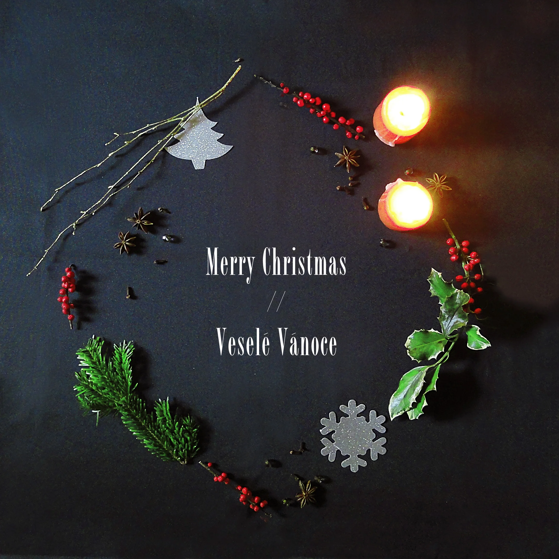 Thank you, Merry Christmas. • baraperglova.com/blog