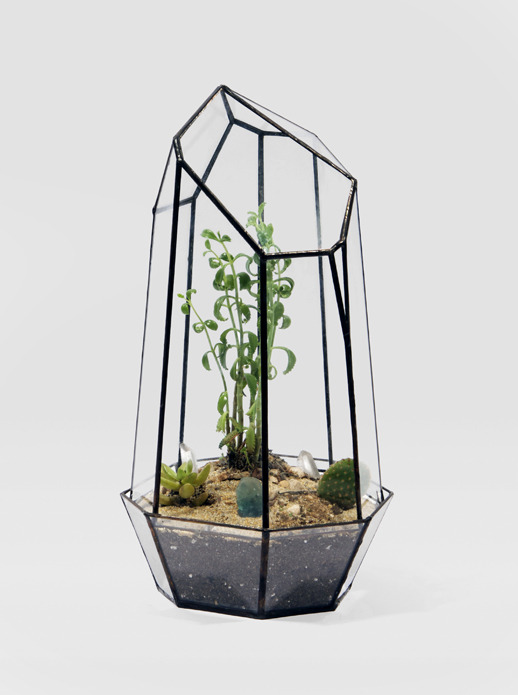 Alternative to Winter Garden. • baraperglova.com