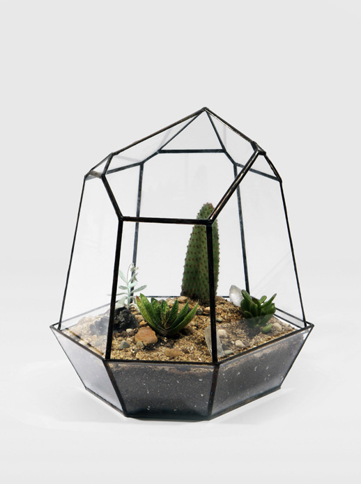 Alternative to Winter Garden. • baraperglova.com