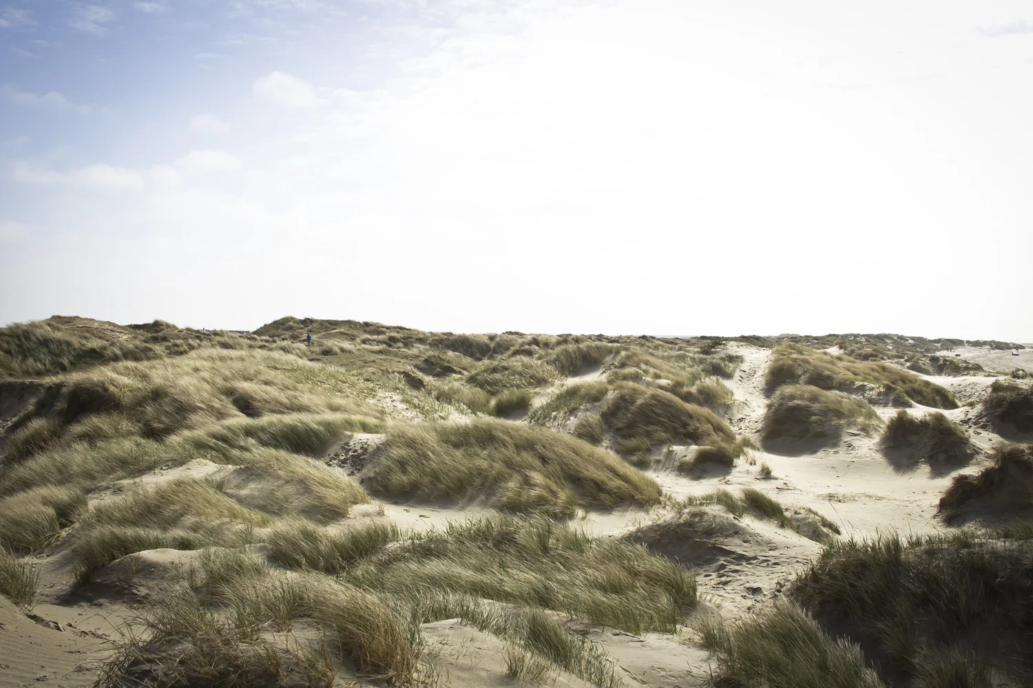 Beach on Rømø Island, Denmark. • Traveling around the Europe on baraperglova.com
