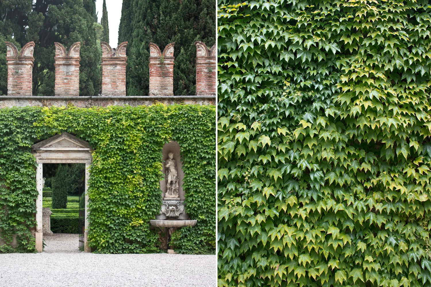 Green oasis • Verona on baraperglova.com