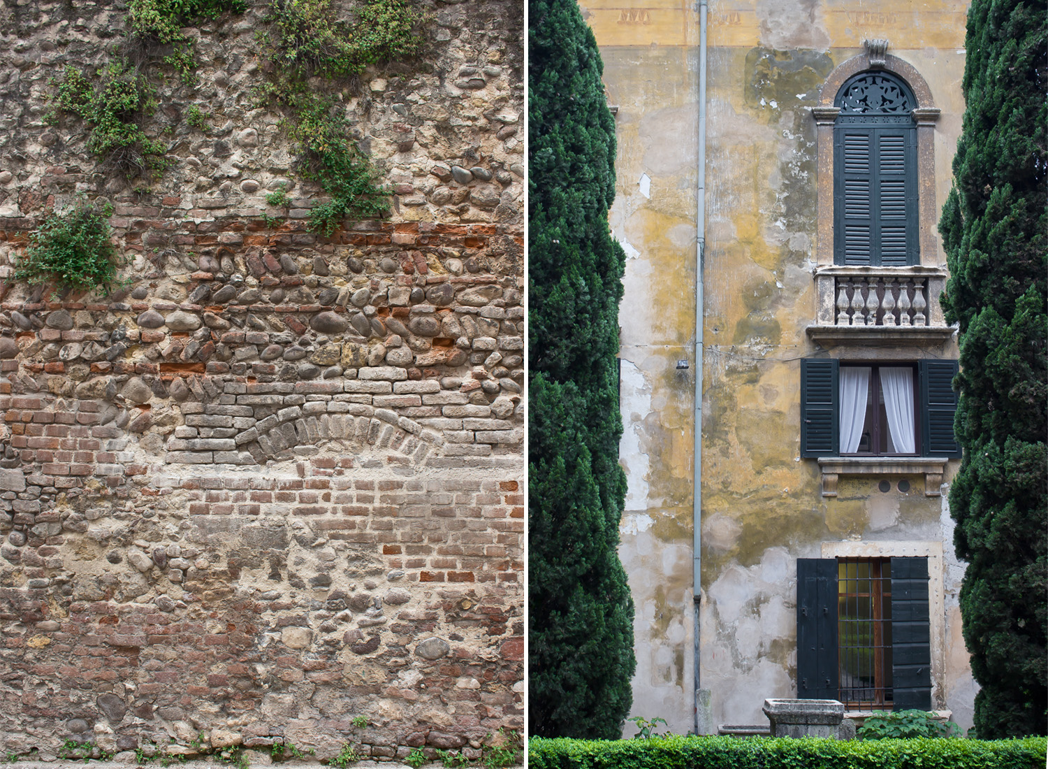 Green oasis • Verona on baraperglova.com