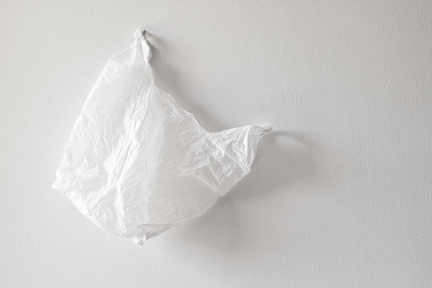 No bag, thank you • baraperglova.com