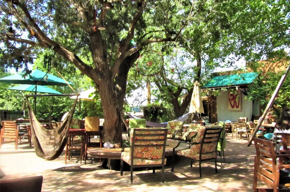 The Chocolatree edible gardens