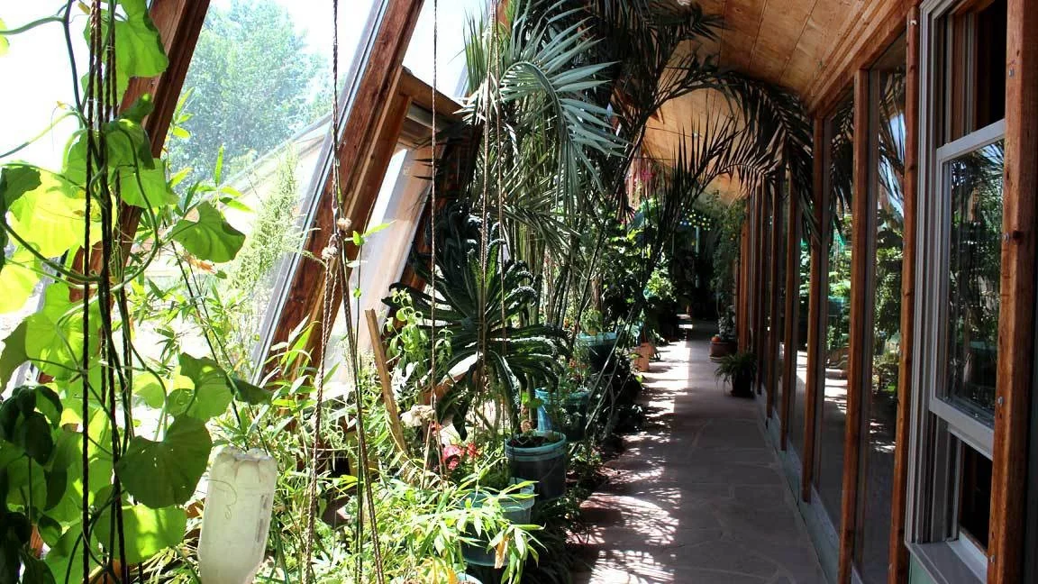 It's really quite ingenious. The local temps range from 100F+ to -20F, and their gardens happily grow all year long.