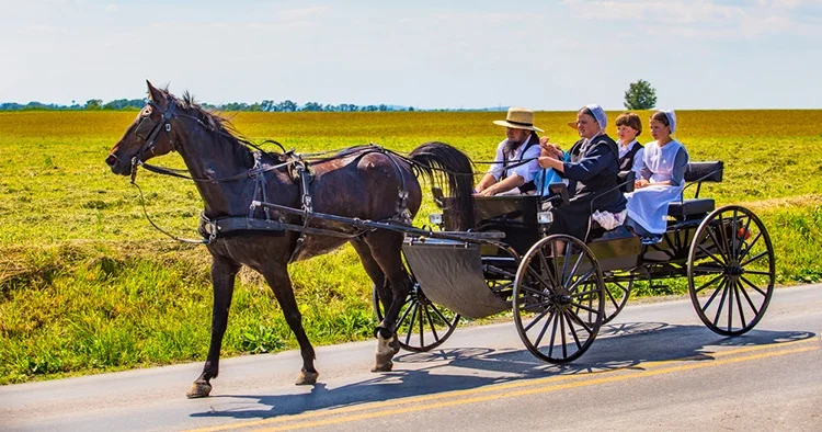 I bet the Amish use more tech than my Dad.