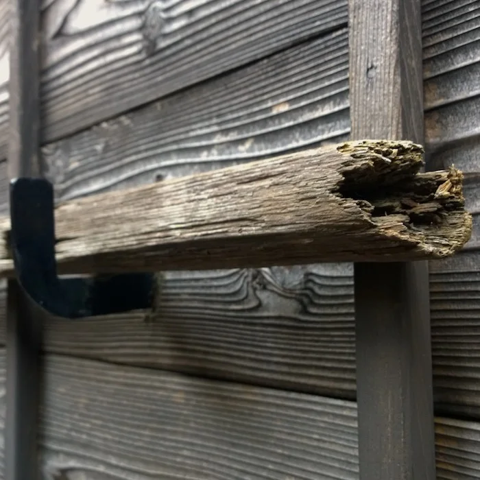 wabi-sabi 7.jpg