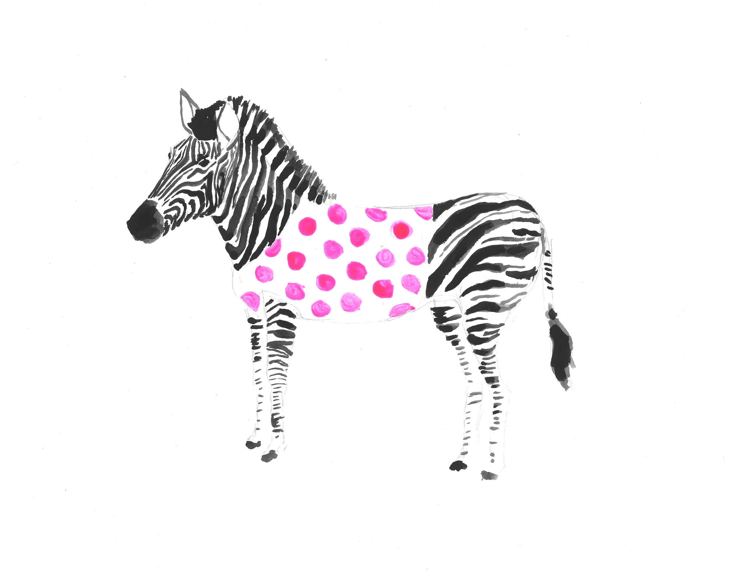 low res zebra 1.jpg