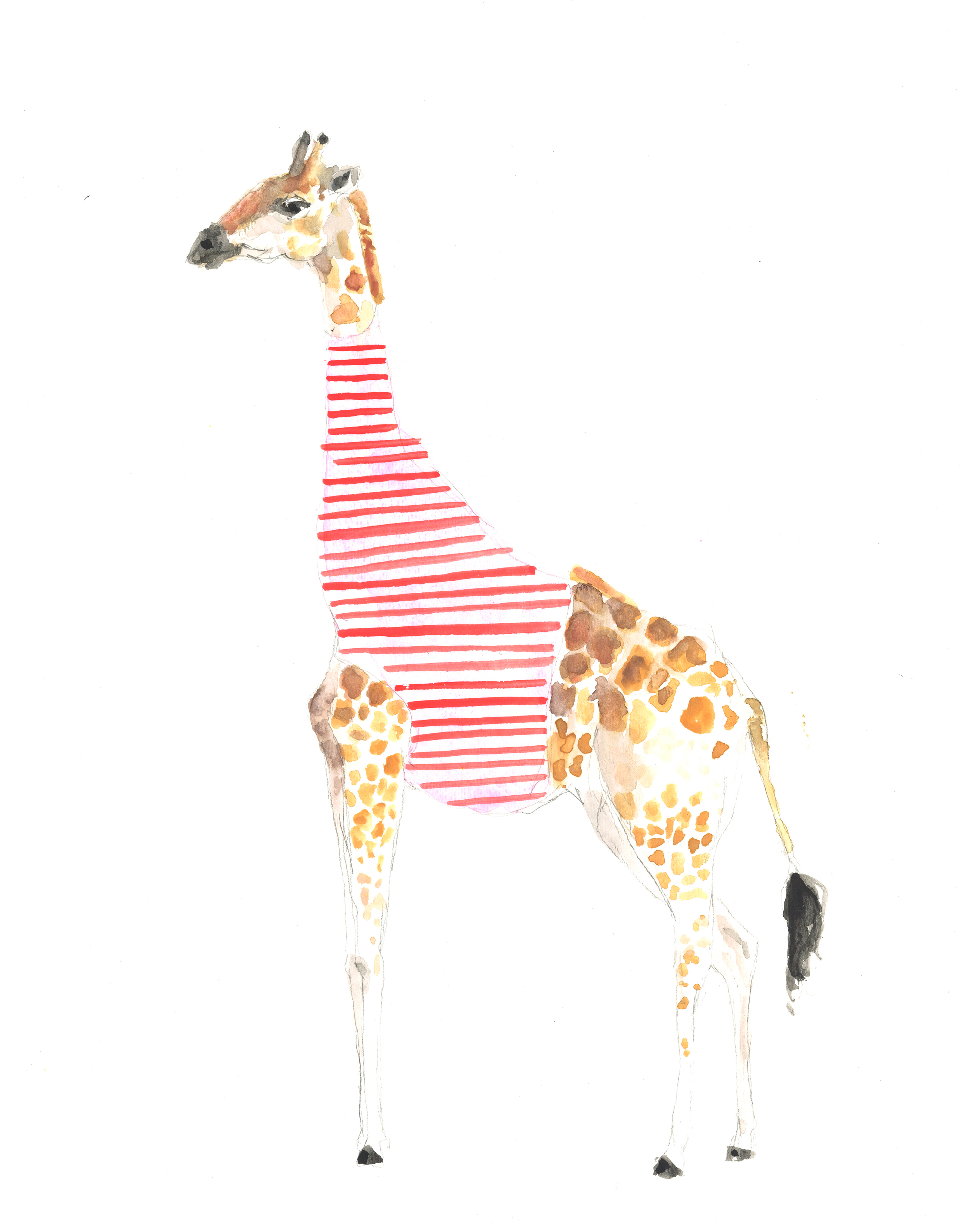 giraffe low res.jpg