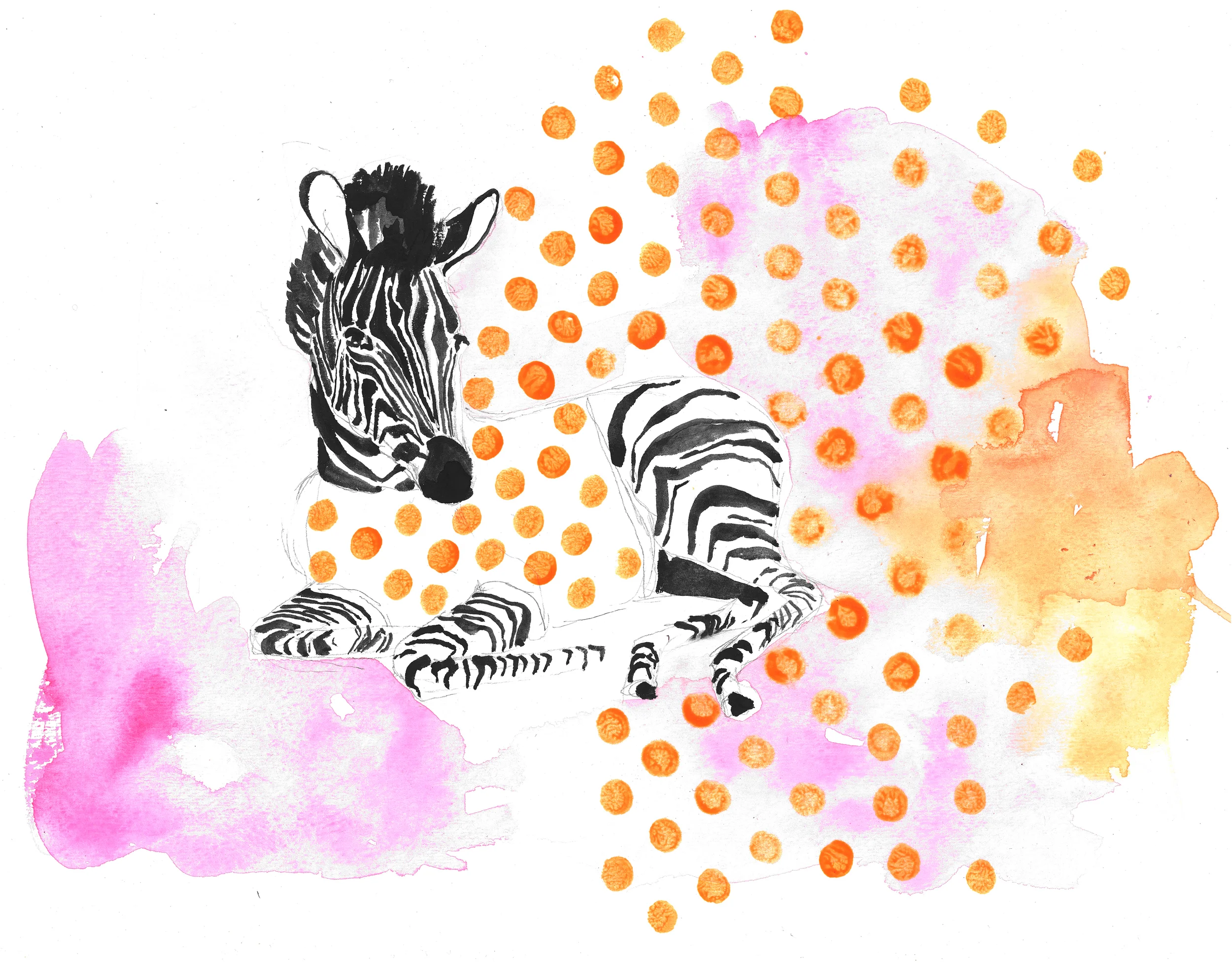 zebra 3 low res.jpg
