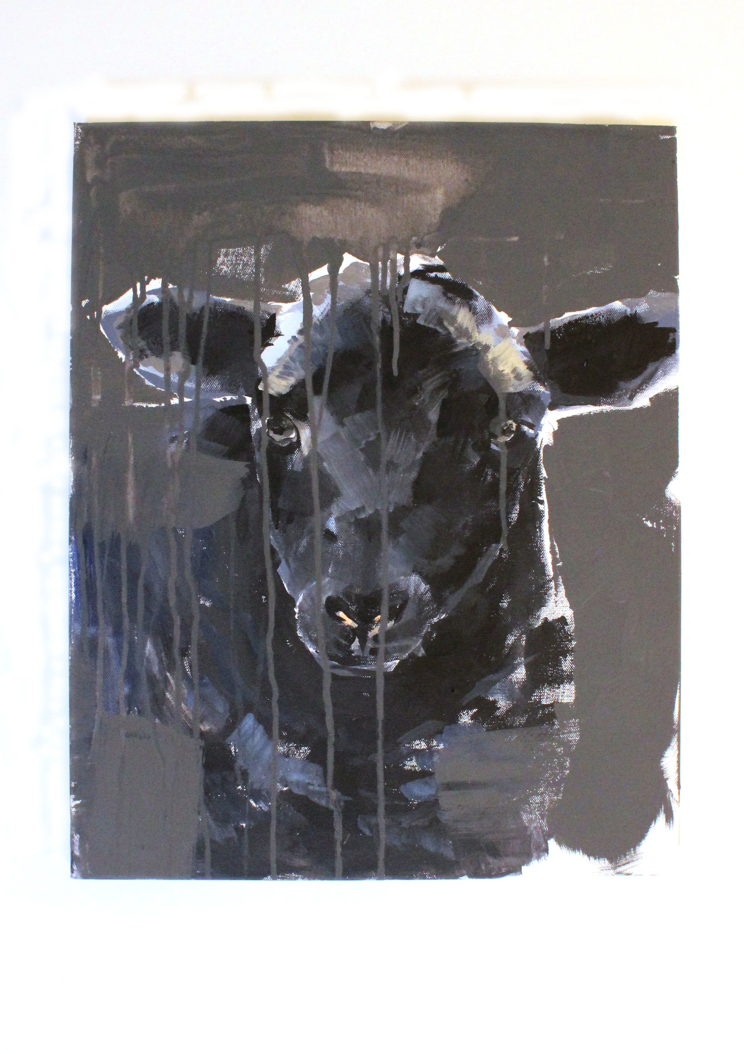 sheep 1.jpg
