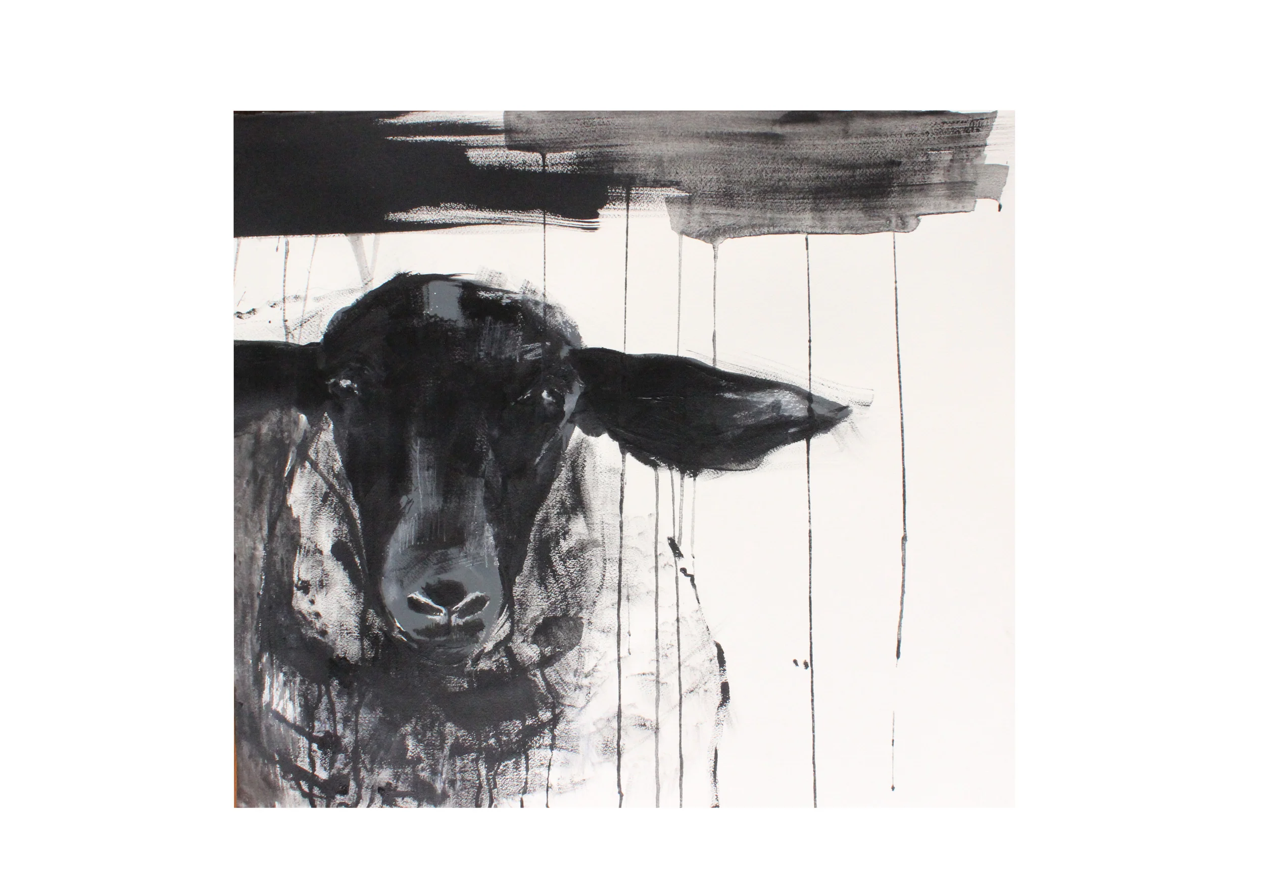 sheep 3.jpg
