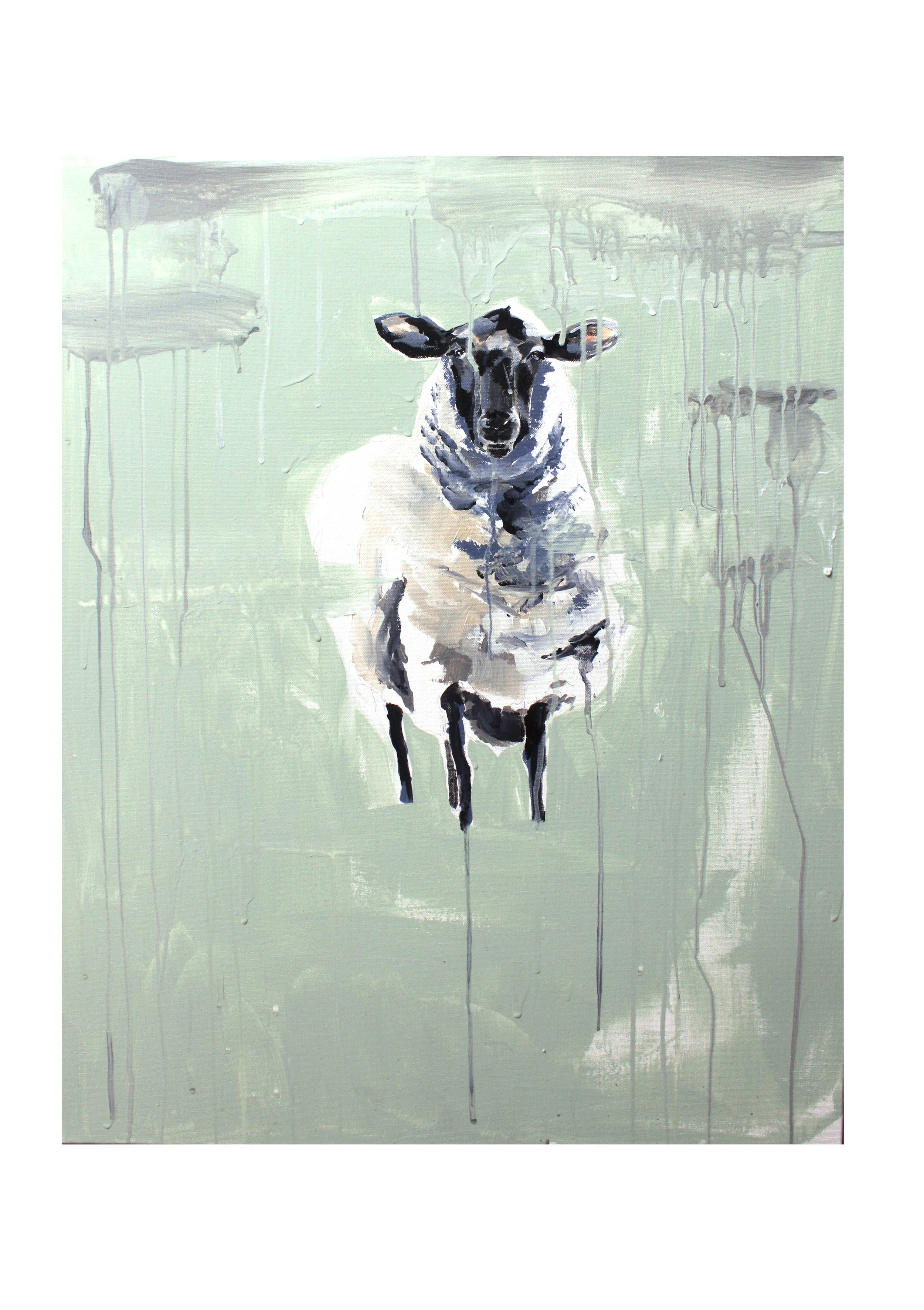 sheep 5.jpg