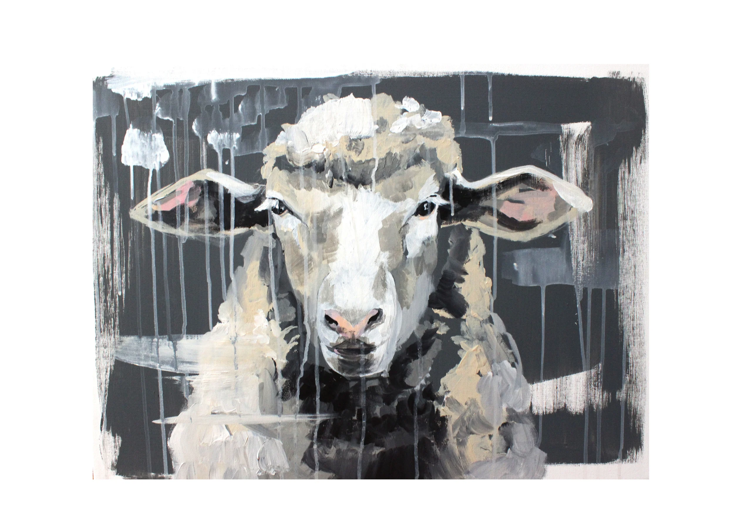 sheep 6.jpg