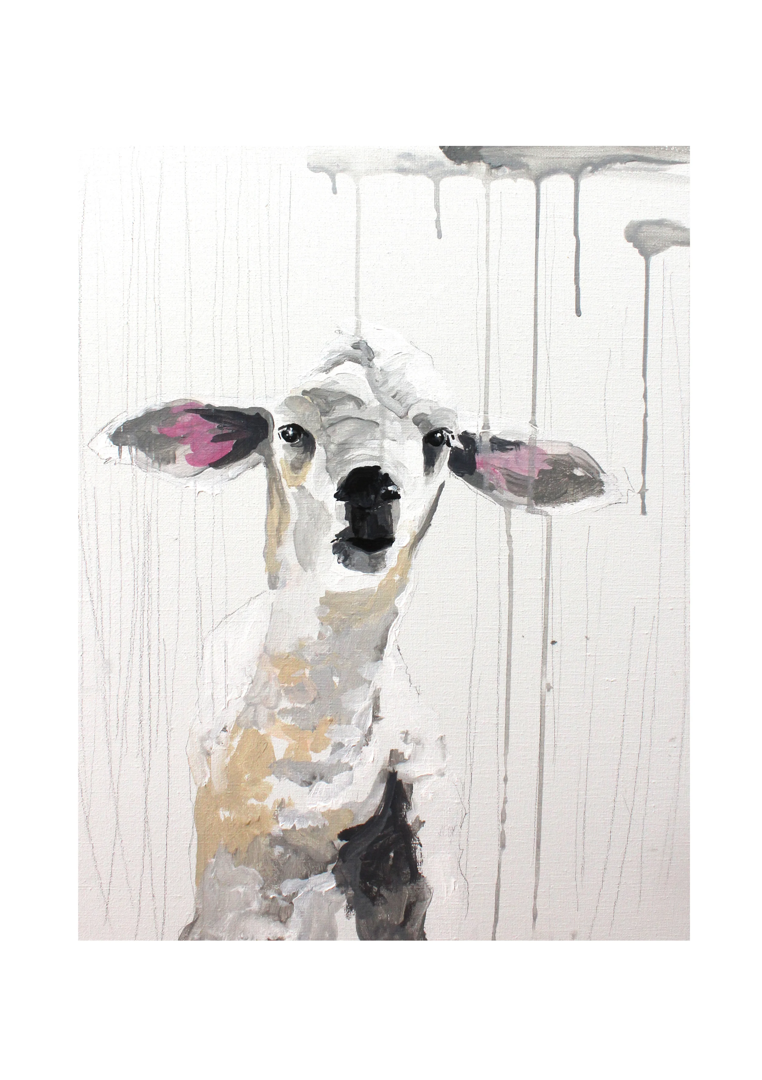 sheep 8.jpg