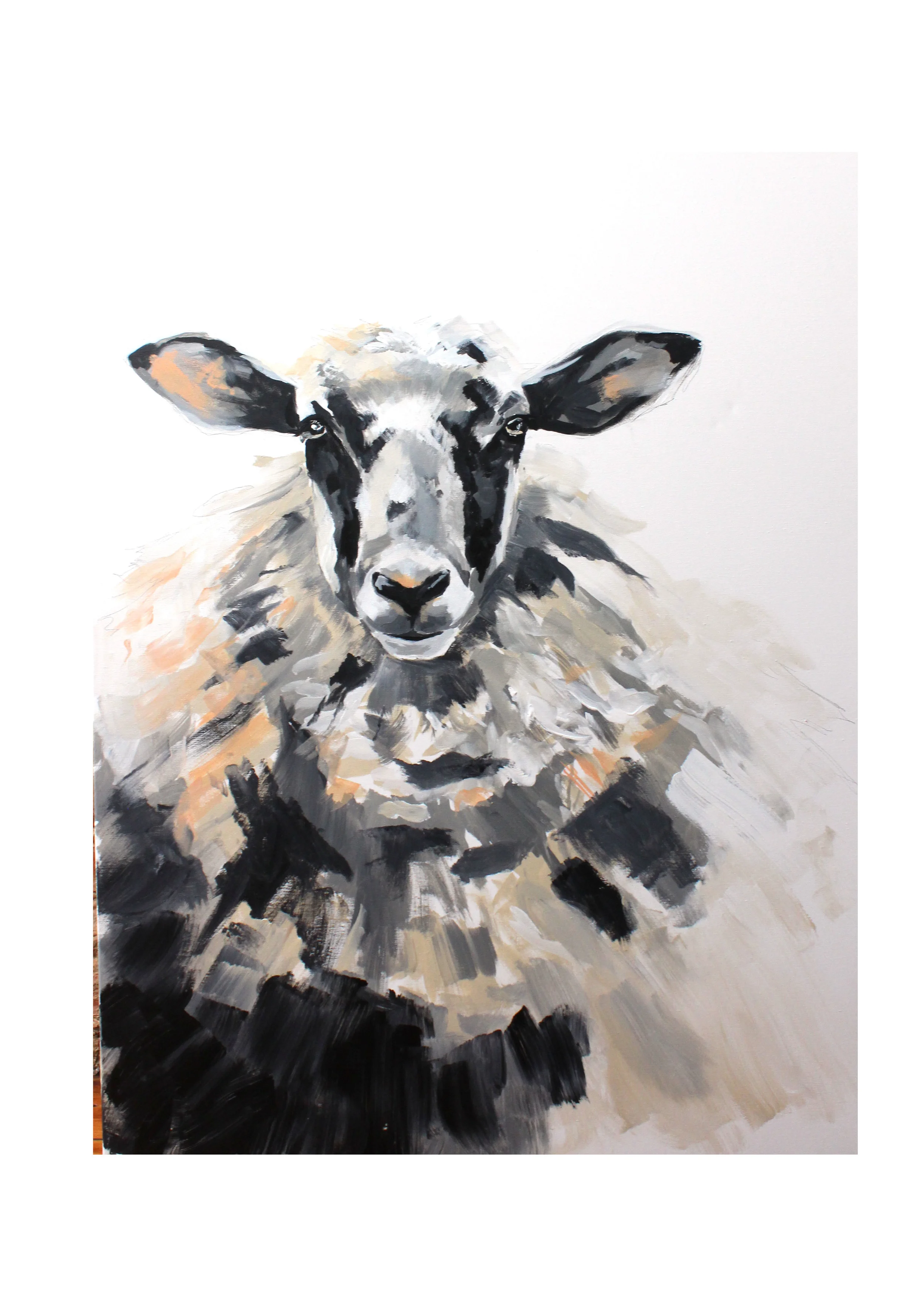 sheep 9.jpg