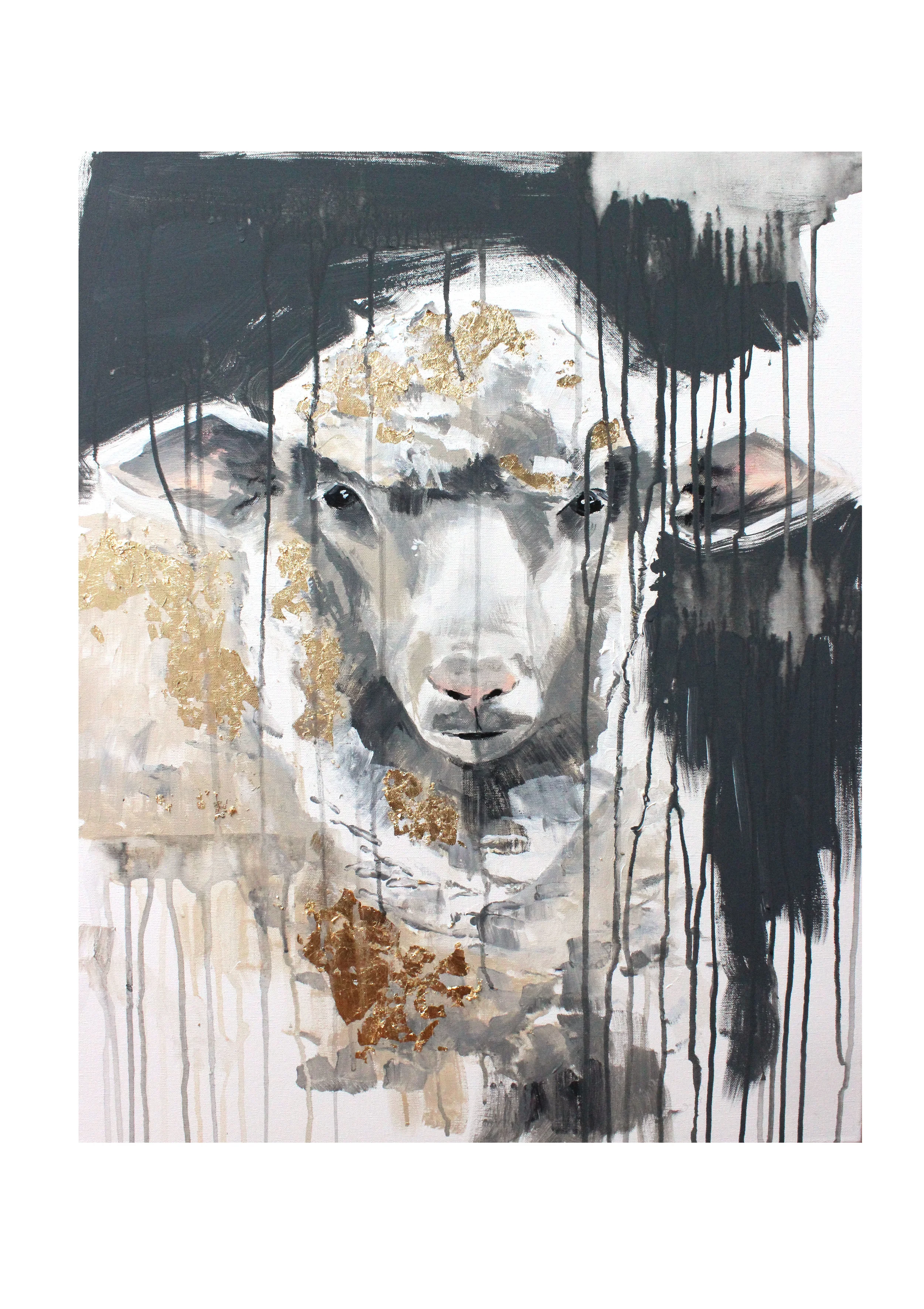 sheep 11.jpg