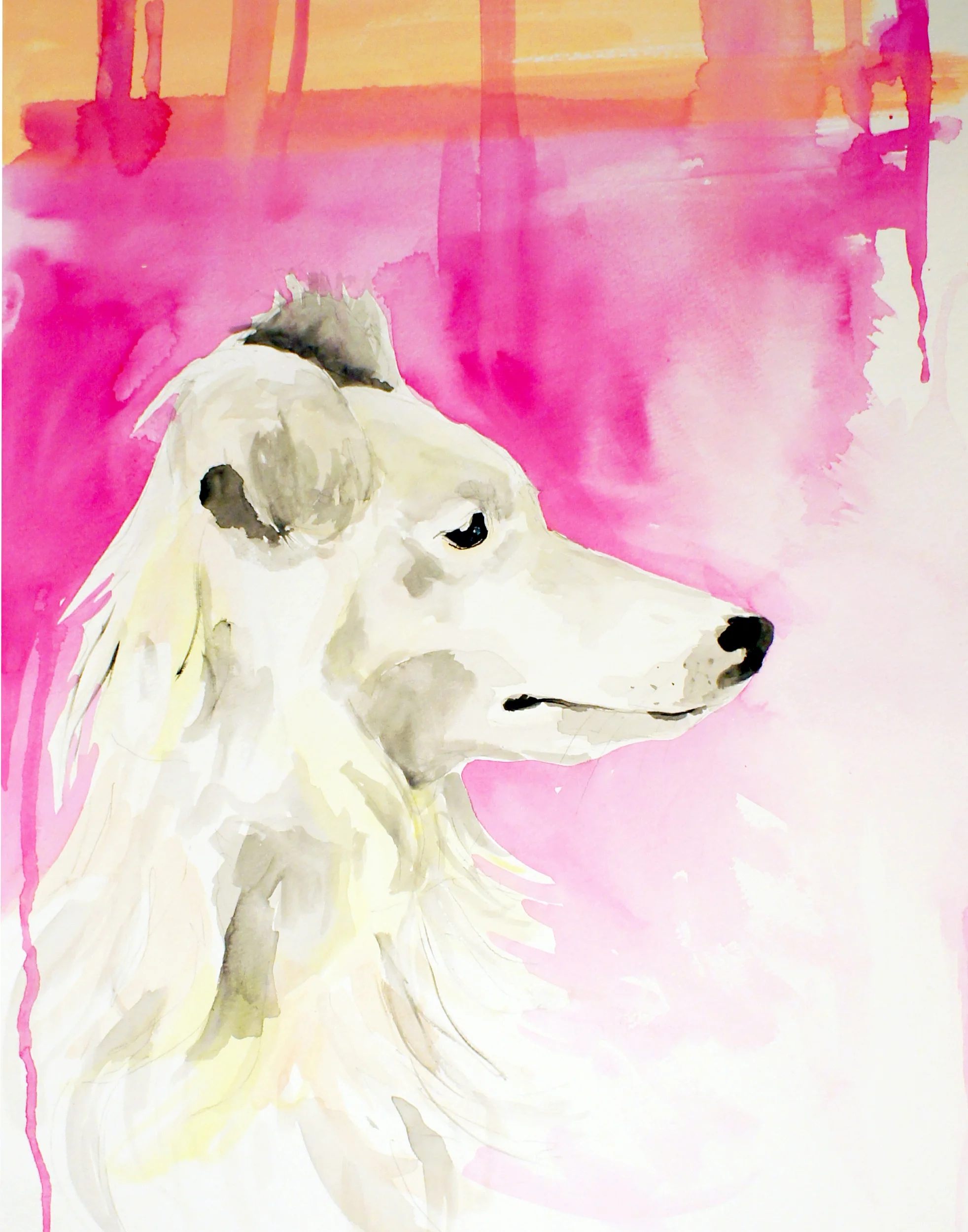 11x14 blondie dog high res.jpg