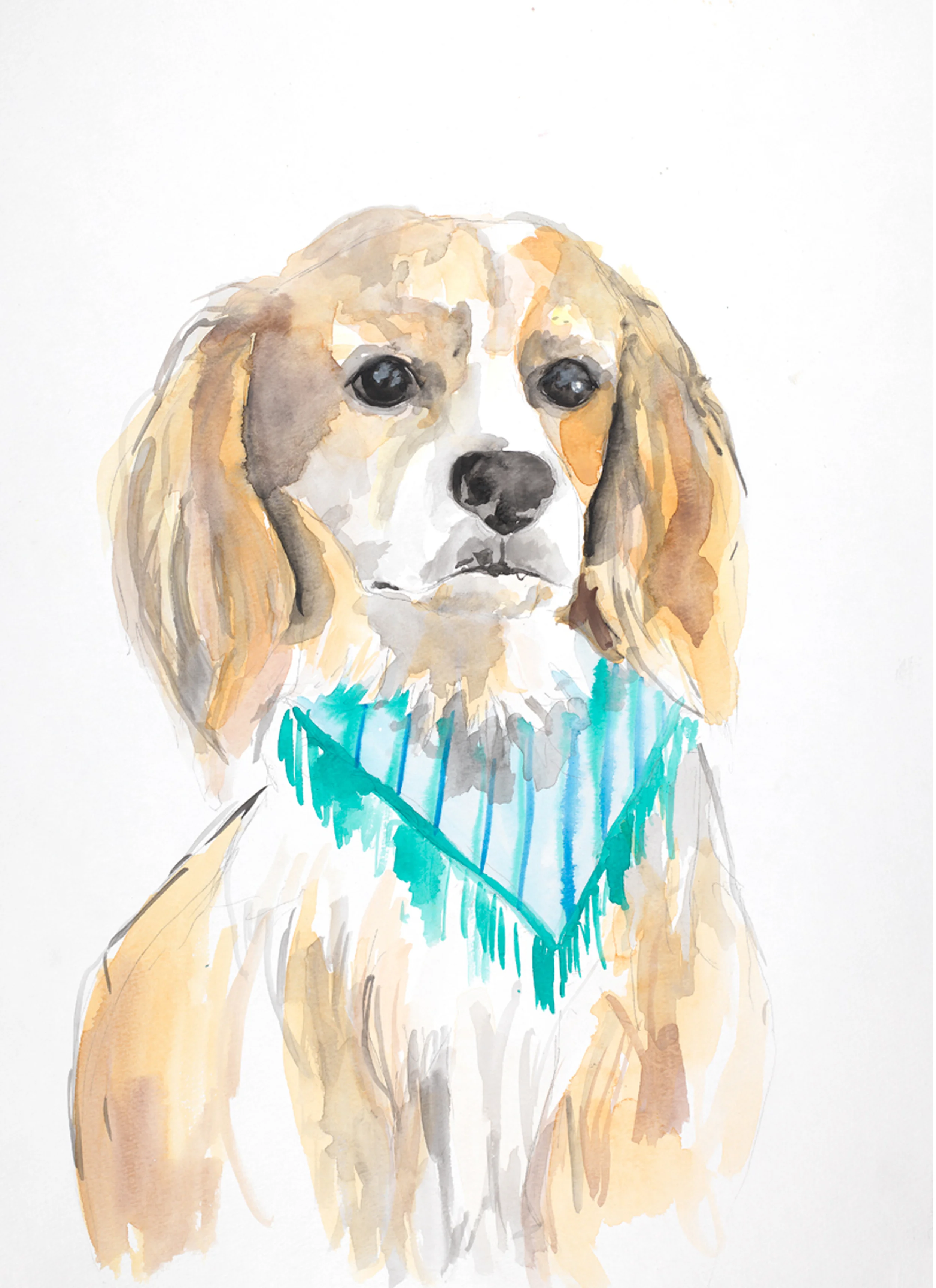 daisy 8x10 high res.jpg