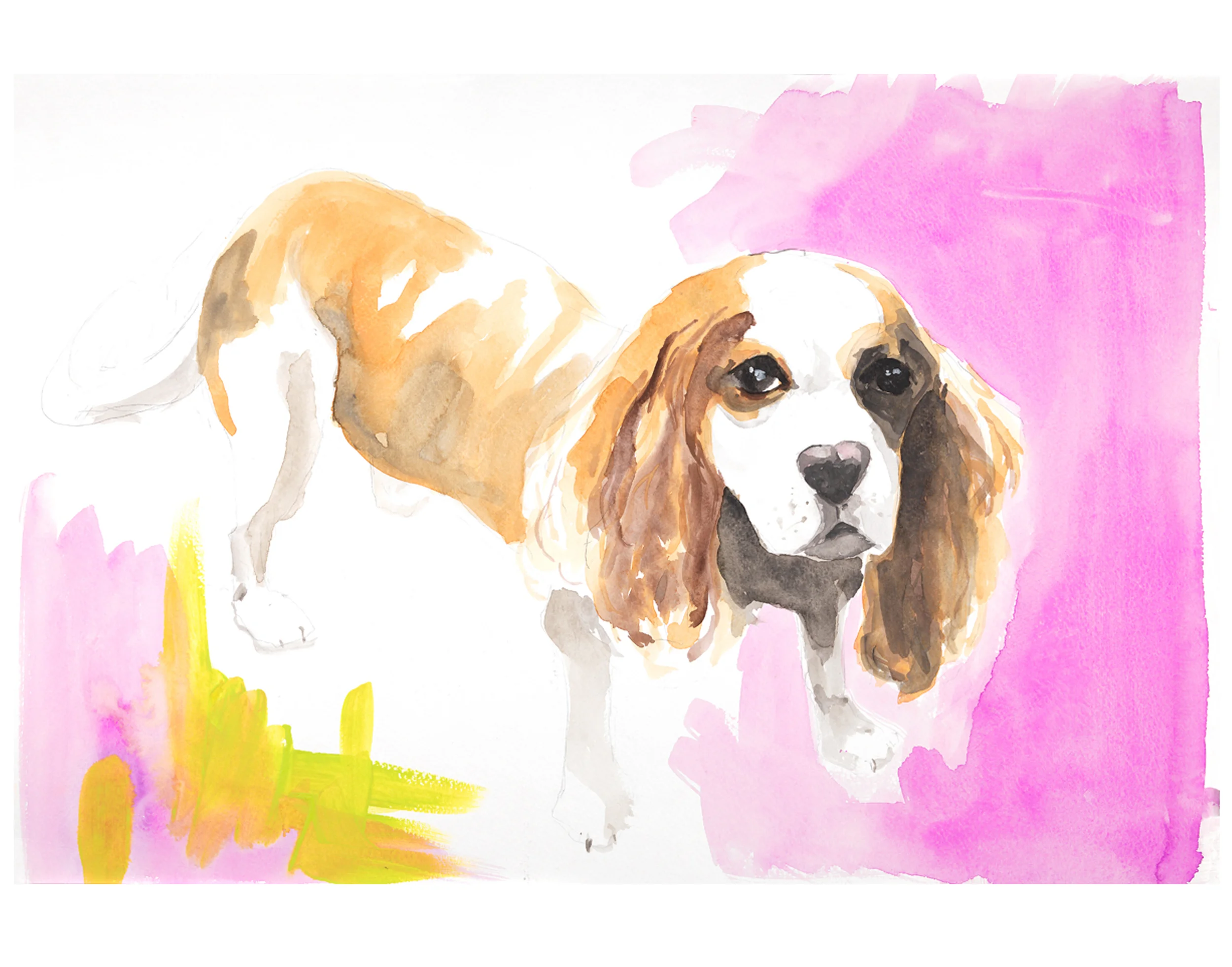 olive 11x14 high res.jpg