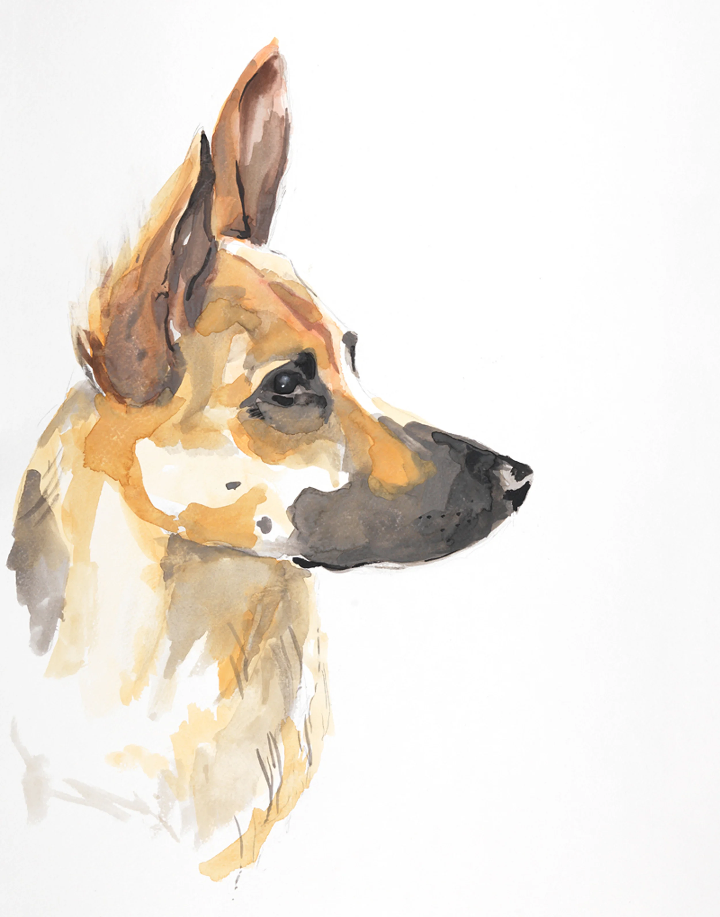 winston III  11x14 high res.jpg