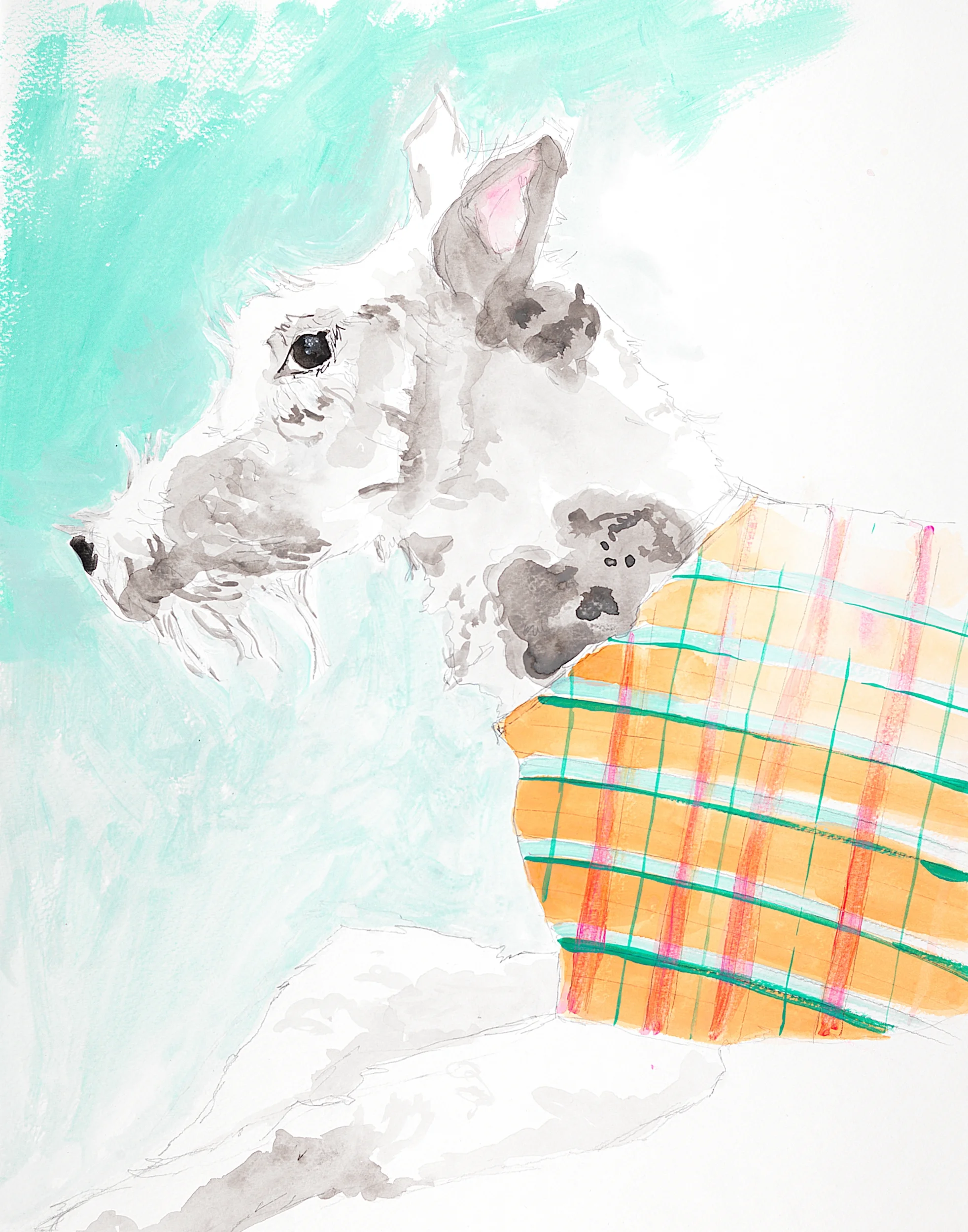 11x14 plaid dog blue orange.jpg