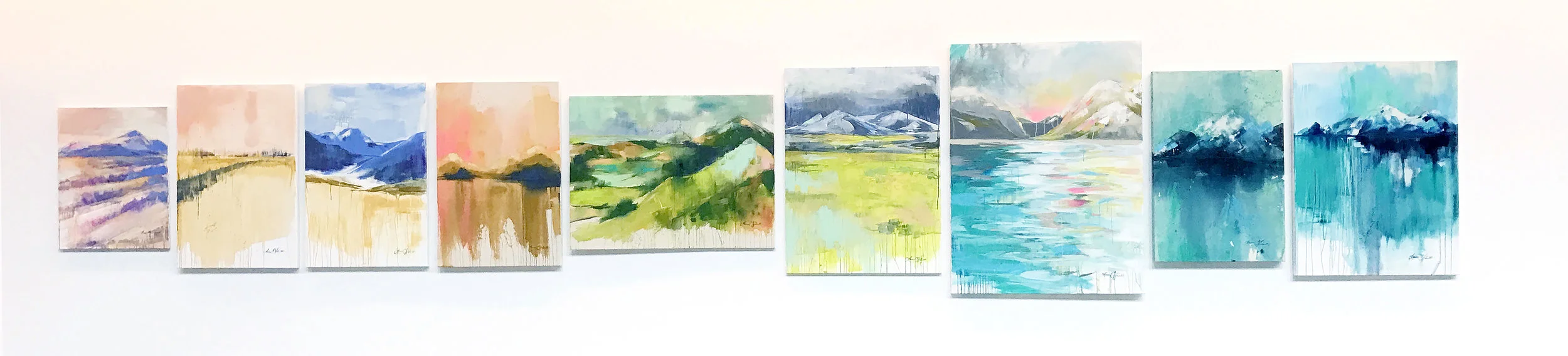 Landscape overview low res.jpg