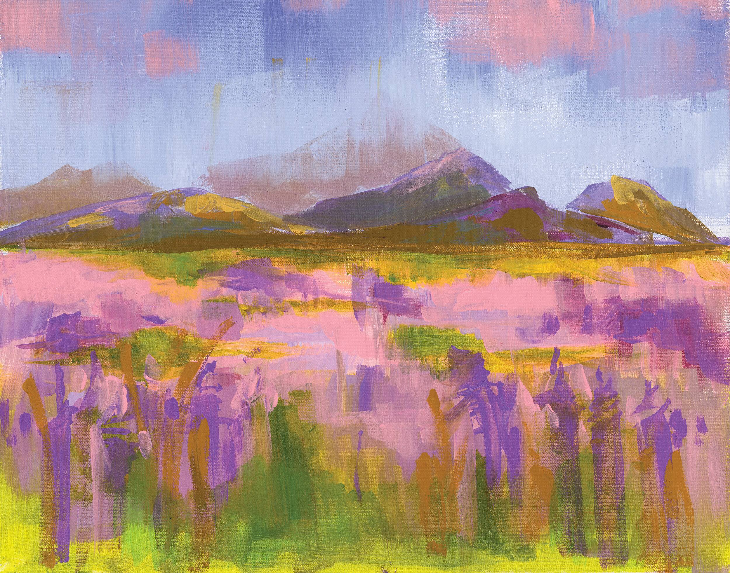 lavendar fields.jpg