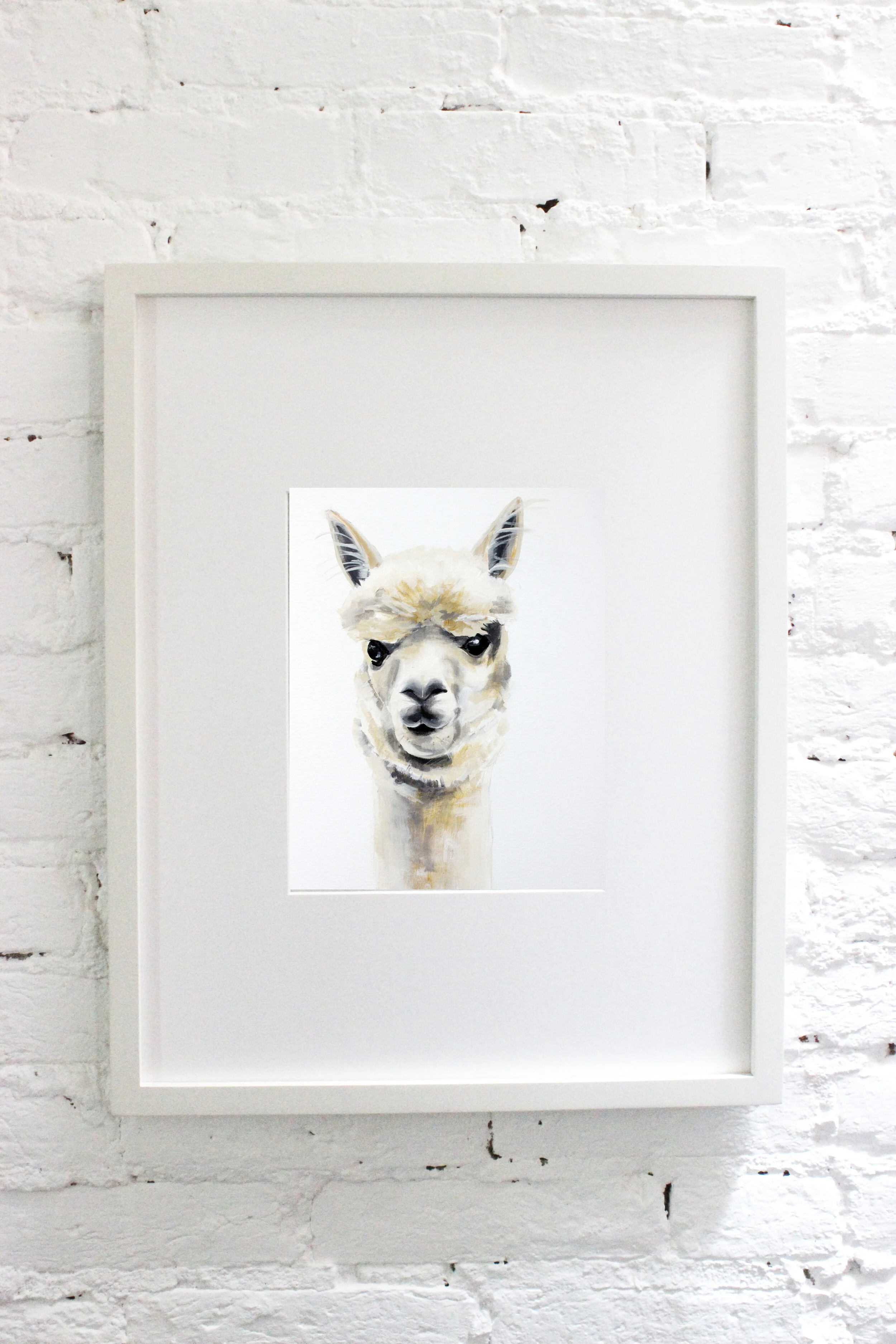 alpaca framed.jpg