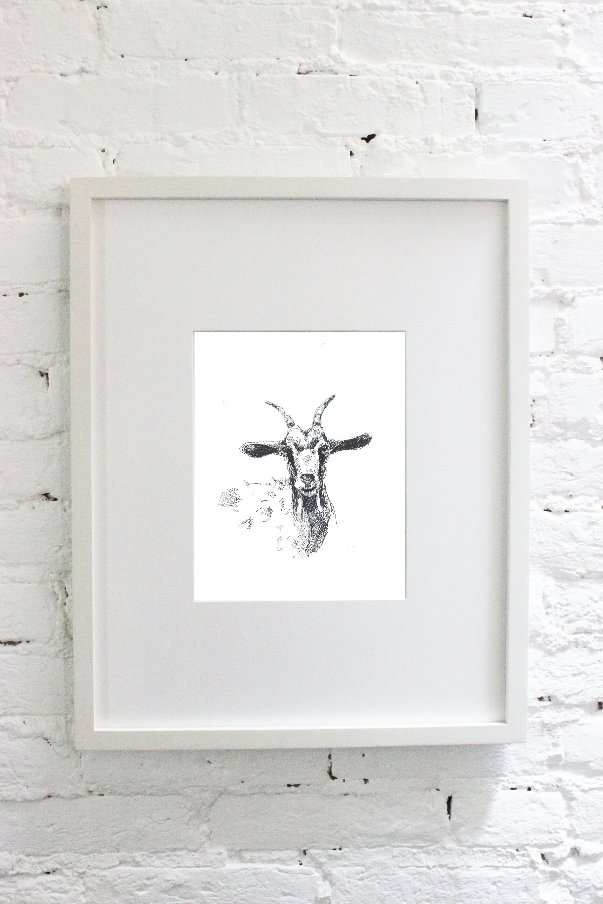 b&w goat.jpg