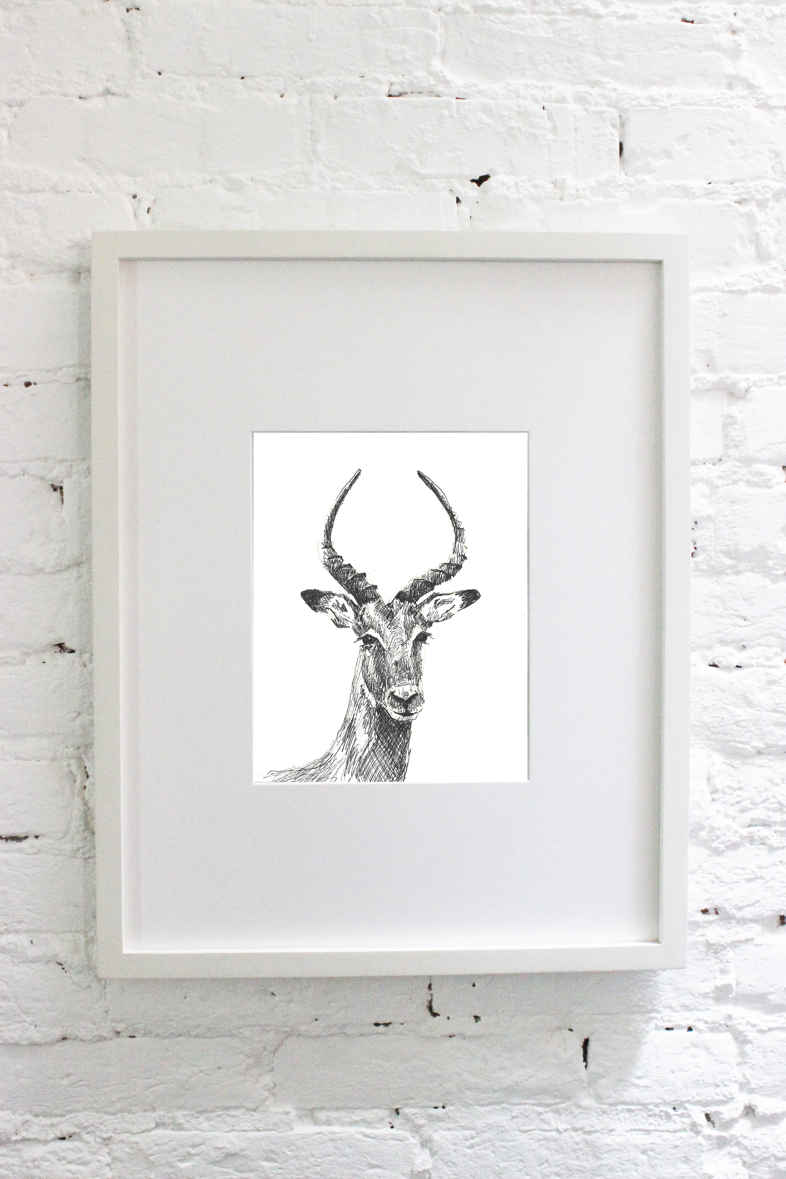 antelope framed.jpg