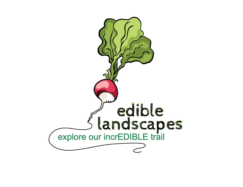 LOGO + ILLUSTRATION