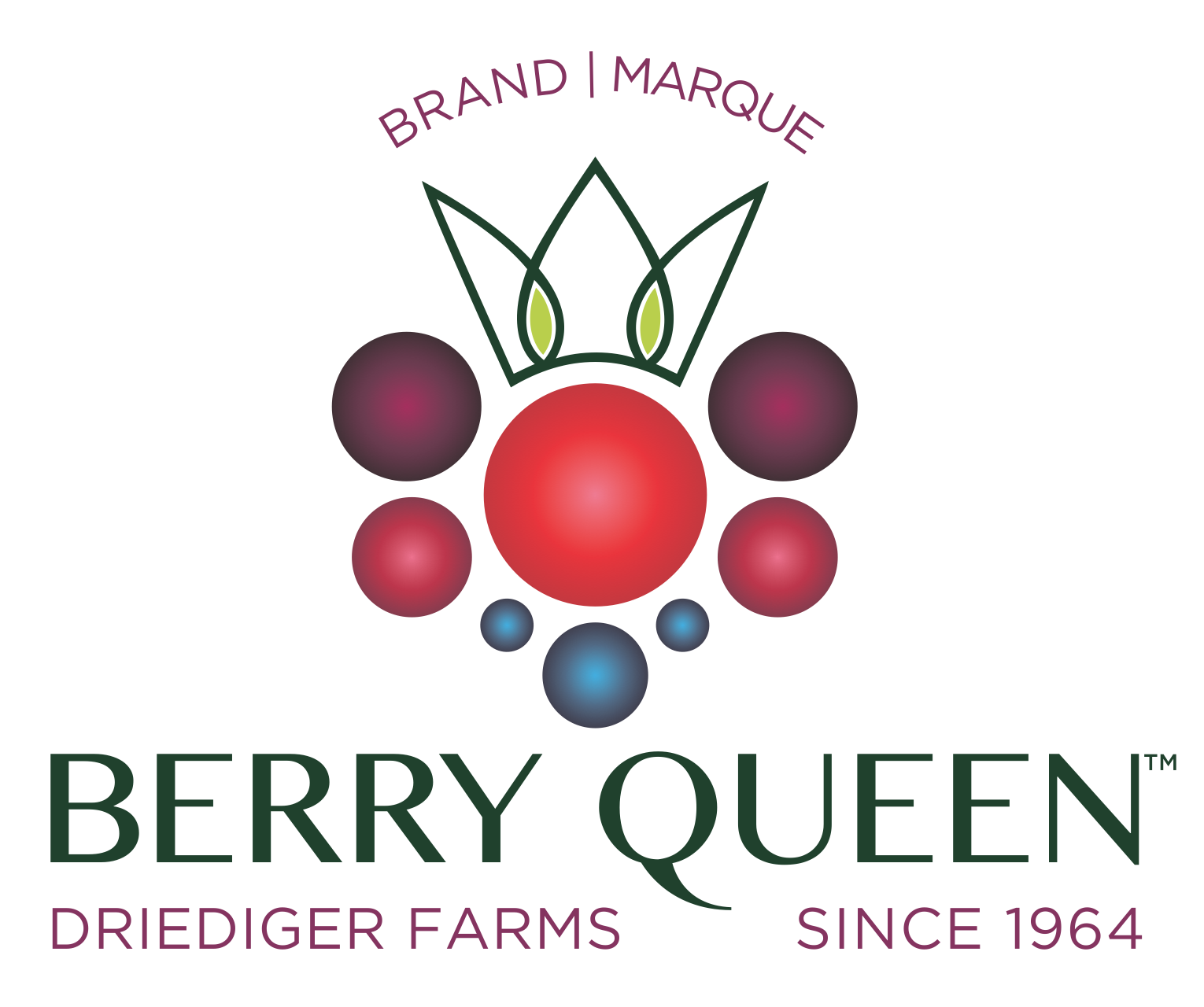 brand design